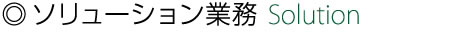 ソリューション業務