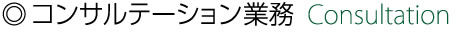 コンサルティング業務